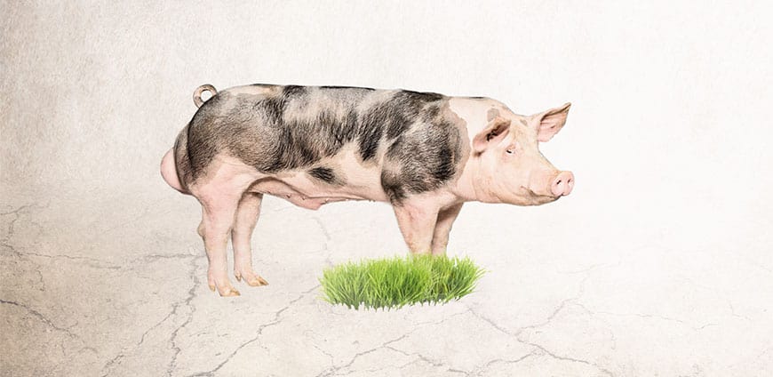 199-altabergut-slider-3