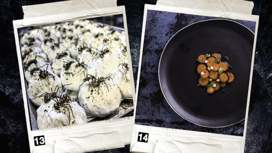 Junger-Wilder-2015-Bernwieser-Brasilien-Attala_6