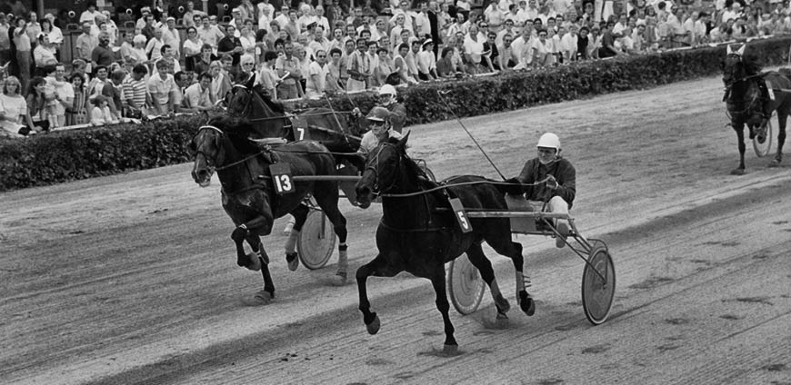 LOY_oesterreicher_lebenswerk-slide-5