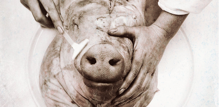 RP219-Fergus_Henderson-NosetoTail1-slider