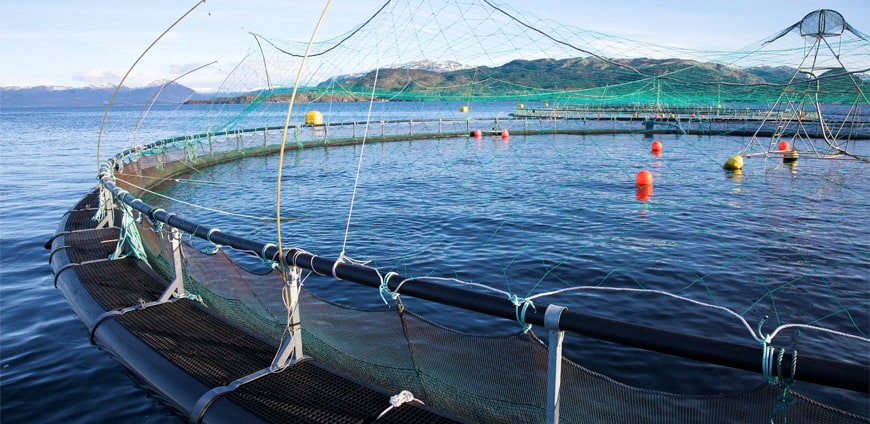 RP220_PR_Metro_Slider3