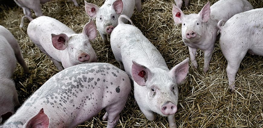 Transgourmet_Slider4