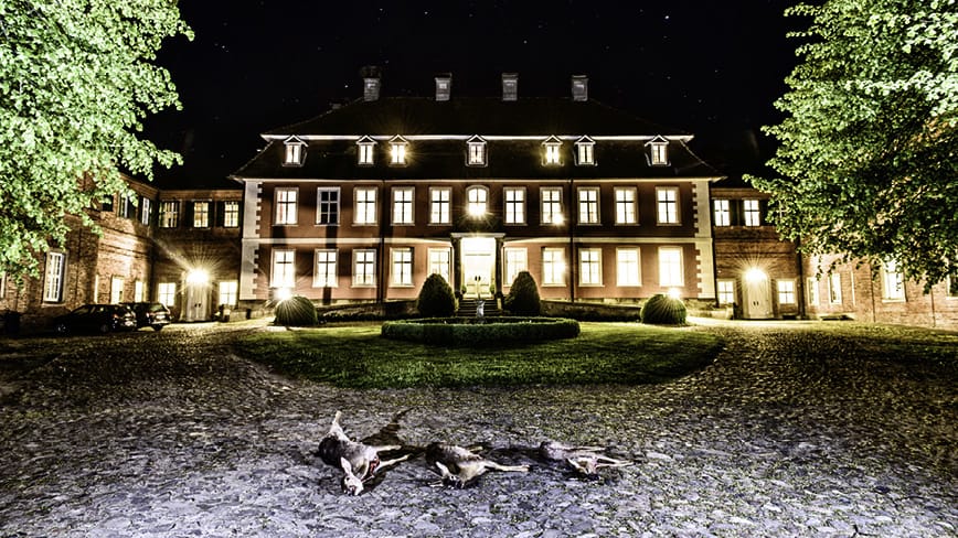 Wild-Jagd-Schloss-Gartow_5