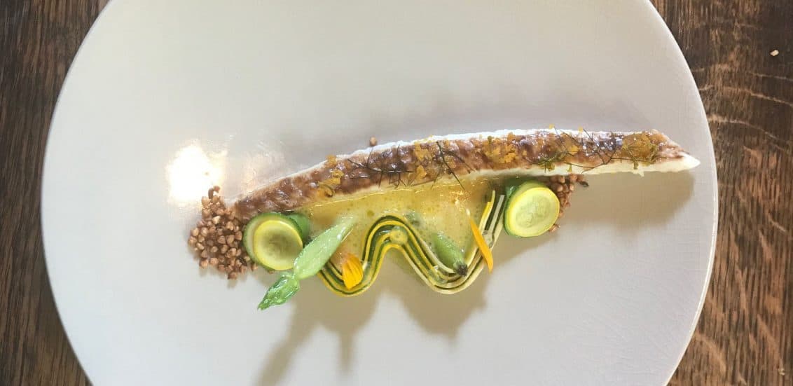 Zucchini_Slider-1132x551