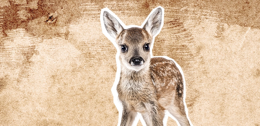 babynahrung-03-slider