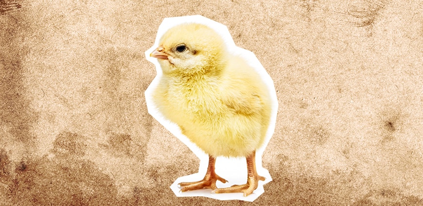 babynahrung-05-slider