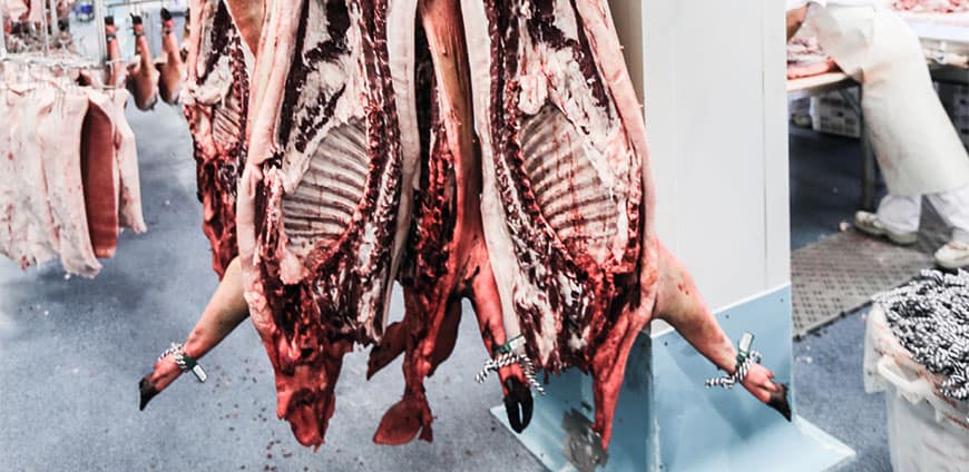 e19A4064-1-cmyk-slider