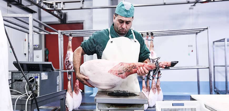 e19A4080-1-cmyk-slider