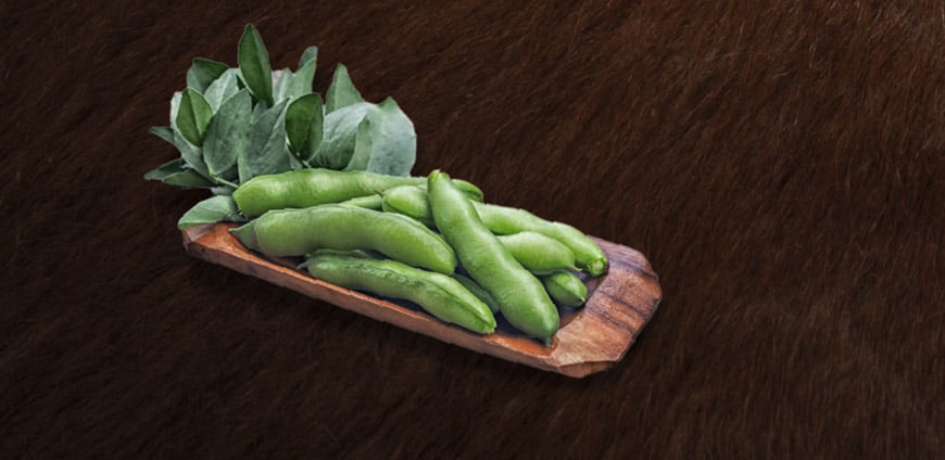 grosses-comeback-03-slider