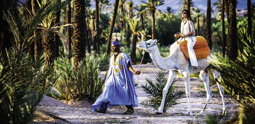 marrakesch_four-seasons_kamel_slide