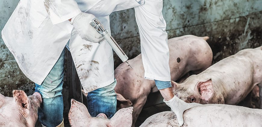 muskelbulle-interview-03-slider