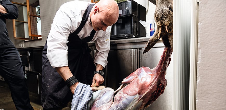 reh-zerlegen-02-slider