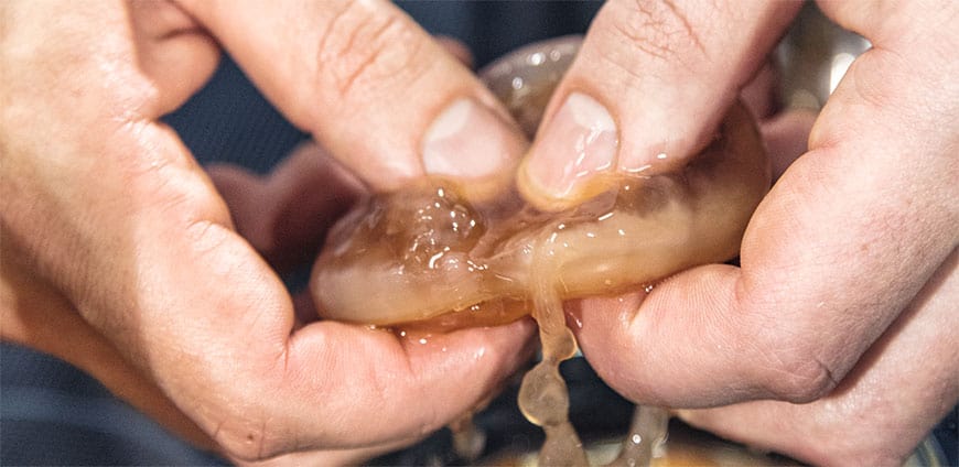 rp201-experiment-04-slider