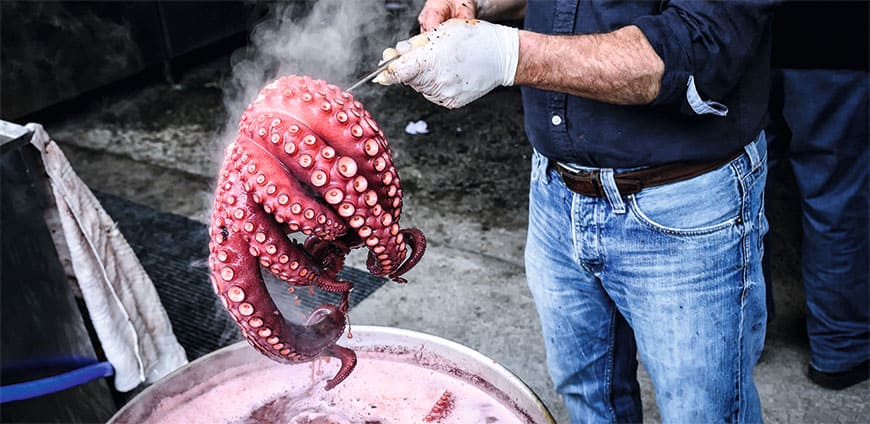 rp201-fisch-07-slider