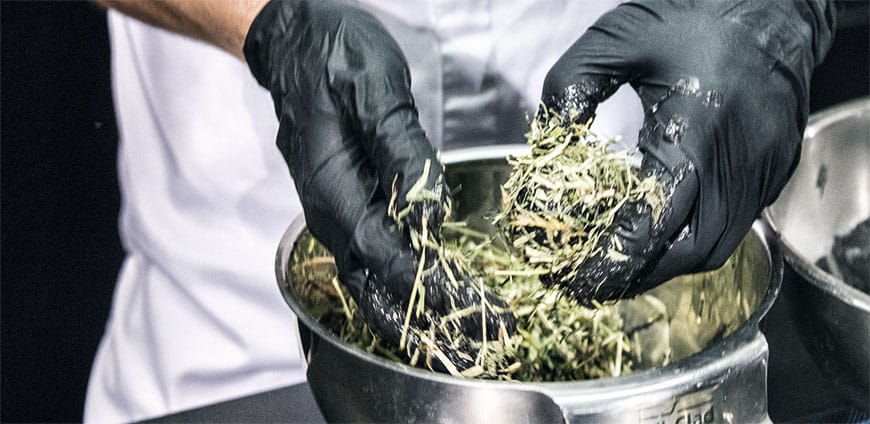 rp202-experiment-04-slider