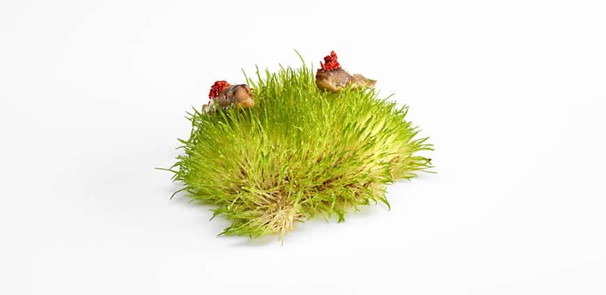 rp203-coverstory-09-slider