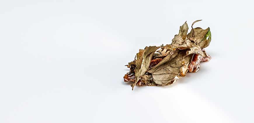 rp203-coverstory-10-slider