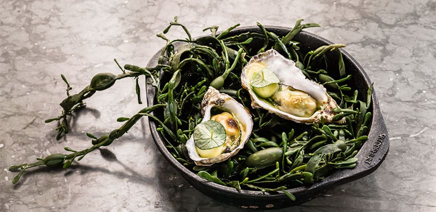 rp204-mdt-feuer-03-slider