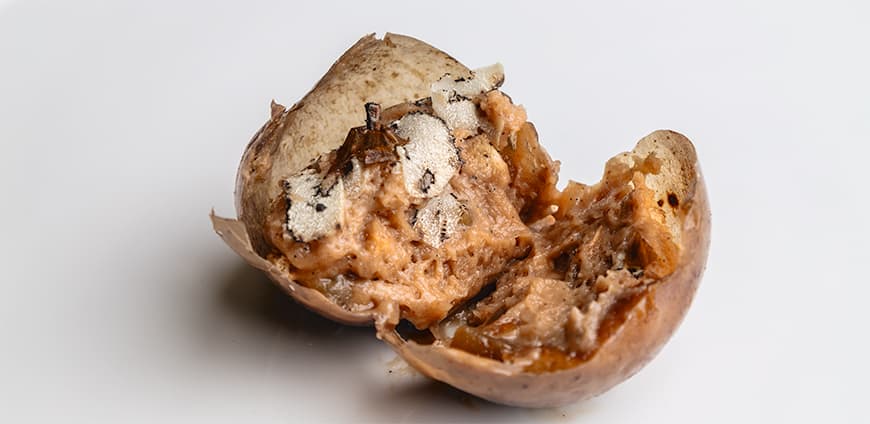 rp206-bottura-04-slider