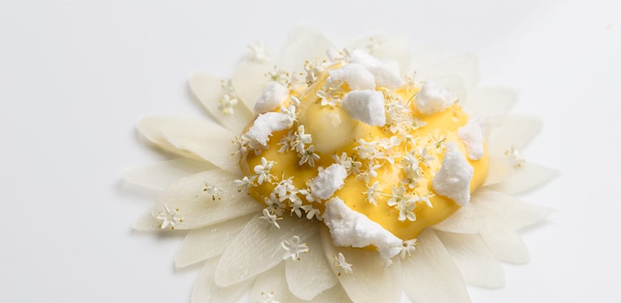 rp206-bottura-food-01-slider