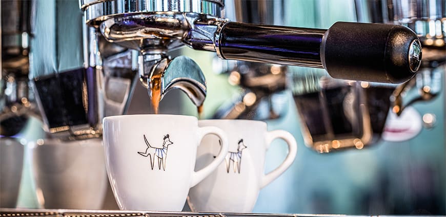 rp207-basil-mars-01-slider