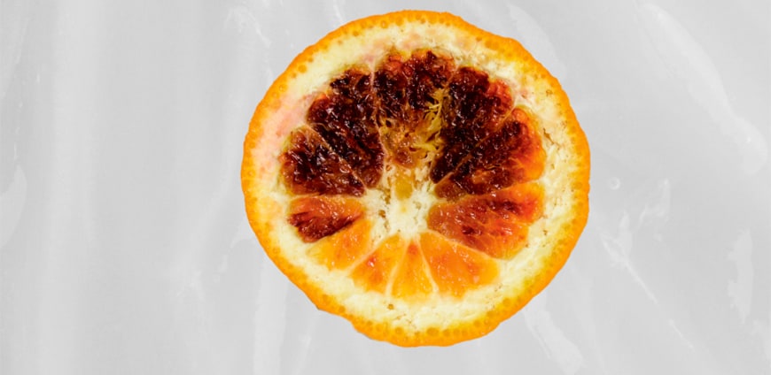 rp208-ceron-01-slider