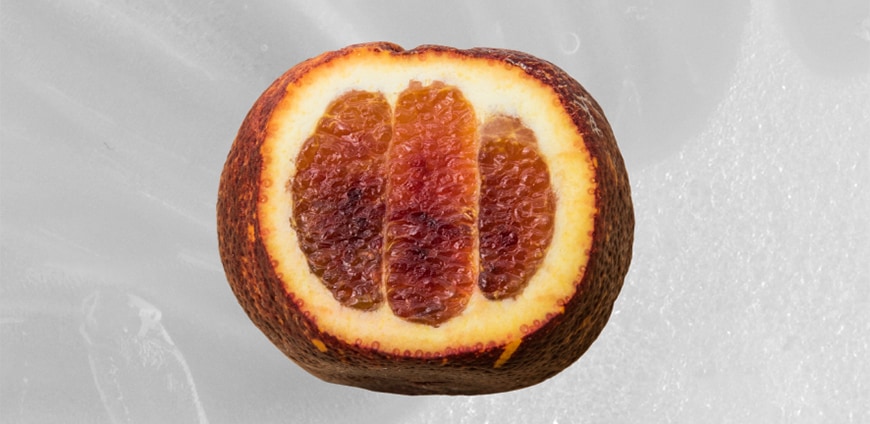 rp208-ceron-02-slider