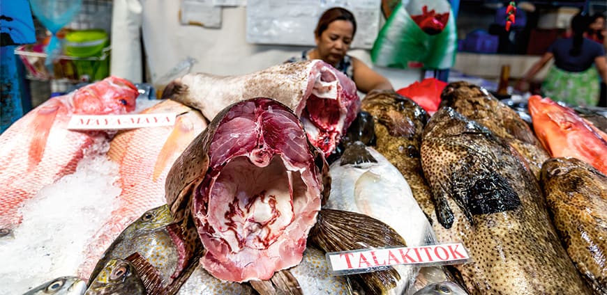 rp208-philippinen-12-slider