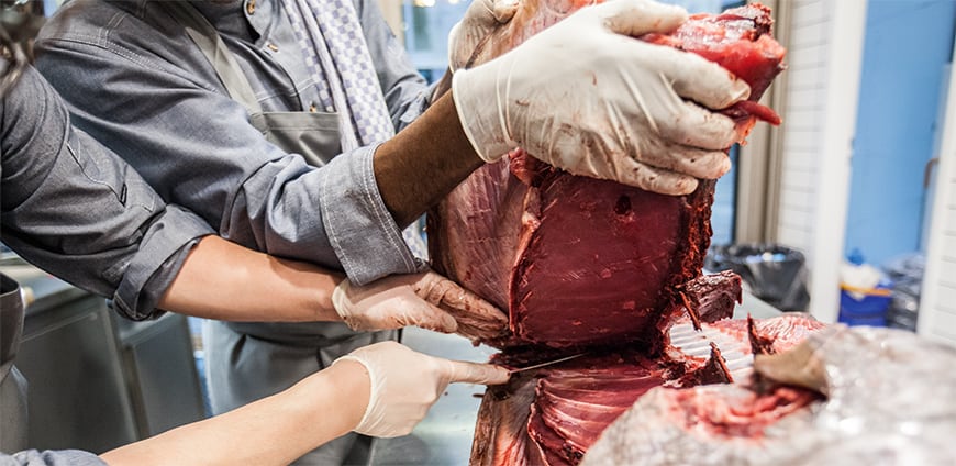 rp208-tuna-02-slider