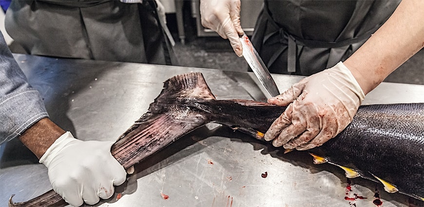 rp208-tuna-08-slider