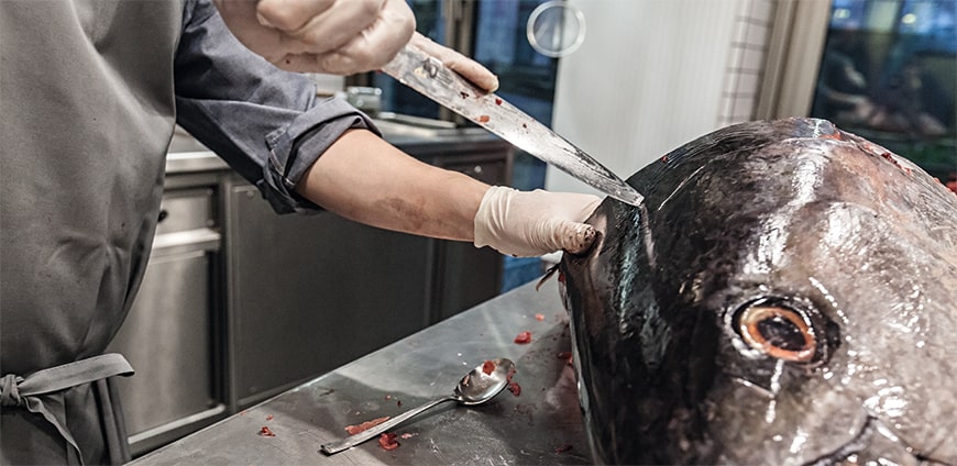 rp208-tuna-09-slider