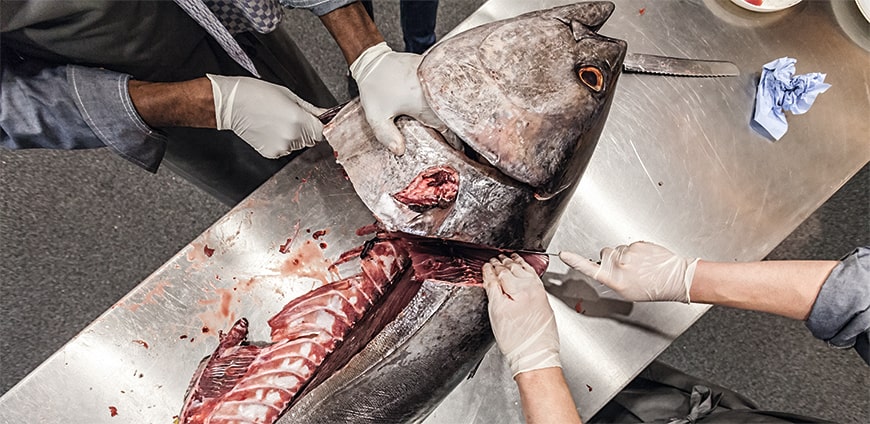 rp208-tuna-12-slider