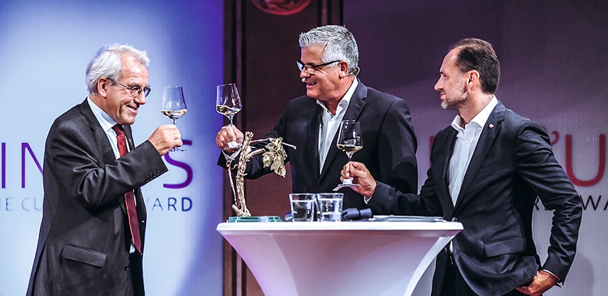 rp208-vineus-04-slider