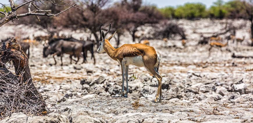 rp209-mdtlieferanten-slider7