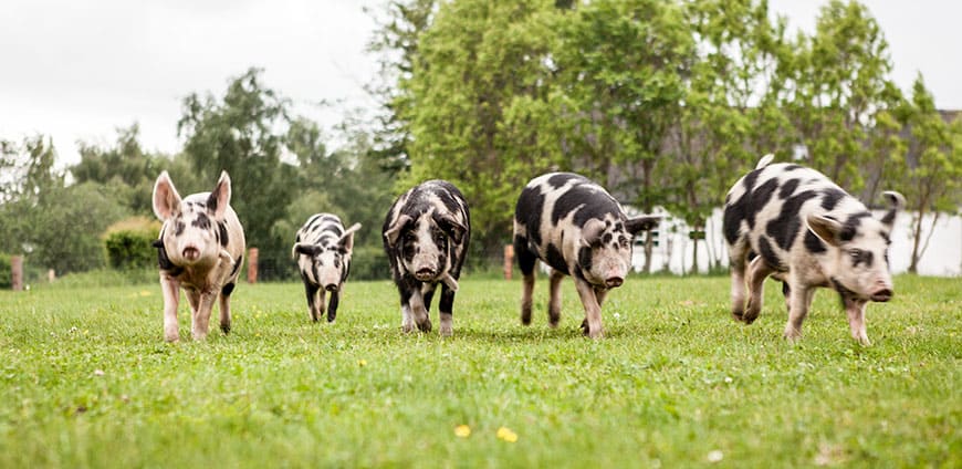 rp209-prmetro-slider6