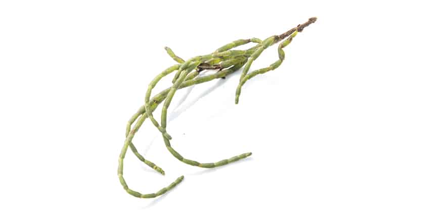 rp210-bonetto-03-slider