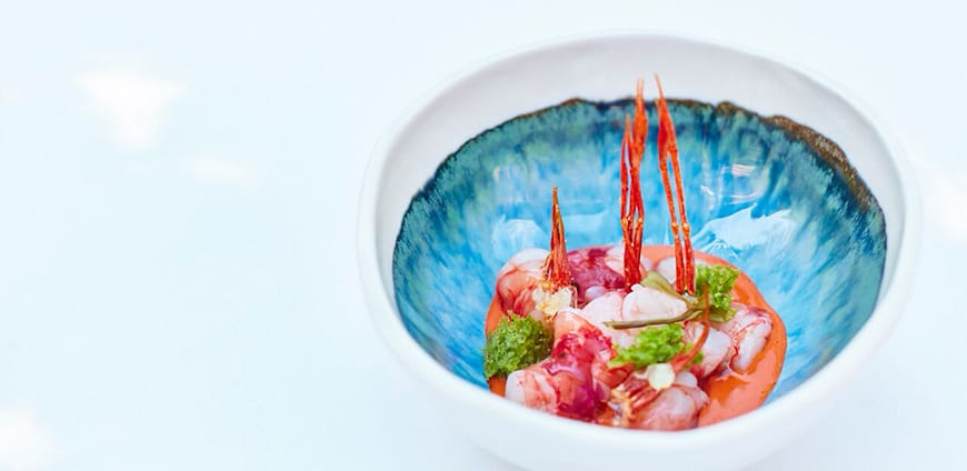 rp210-cd-roca-05-slider