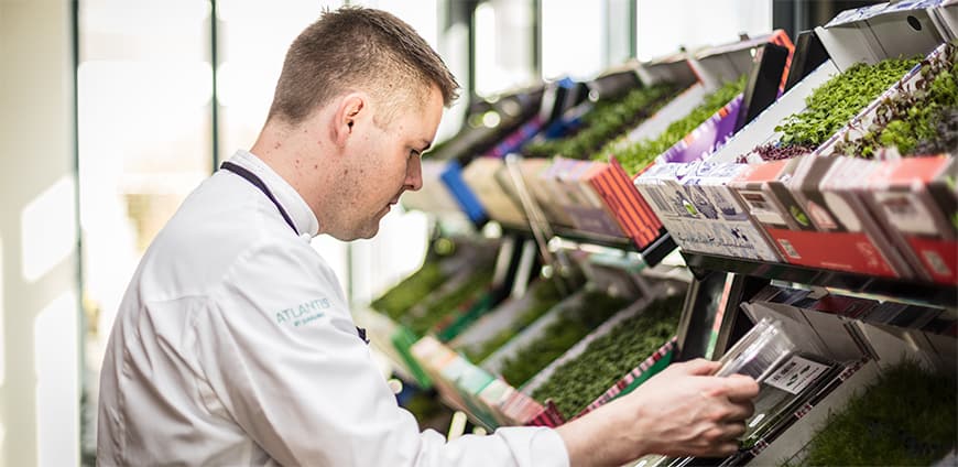 rp211-kress-11-slider