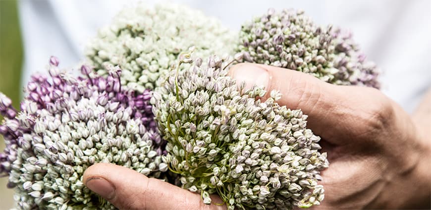 rp213-hangar7-06-slider