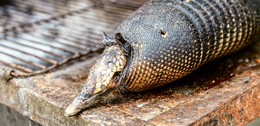 rp213-kitchen-guerillas-04-slider