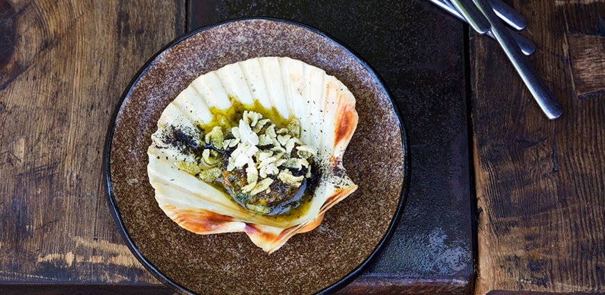 rp213-kofler-02-slider