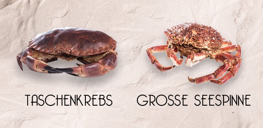 rp214-elhans-slider1