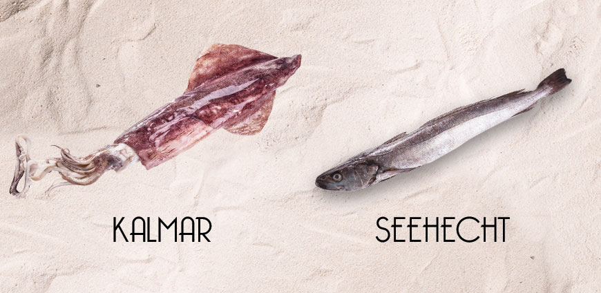 rp214-elhans-slider2