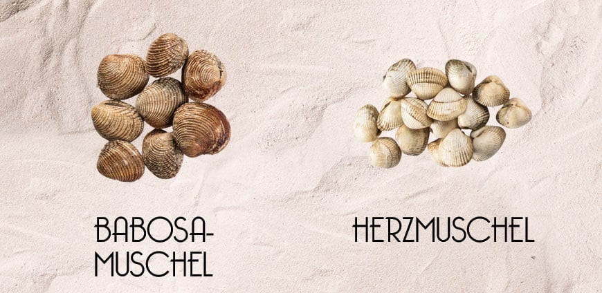 rp214-elhans-slider5