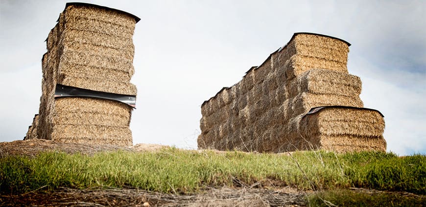 rp214-feedinglots-slider3