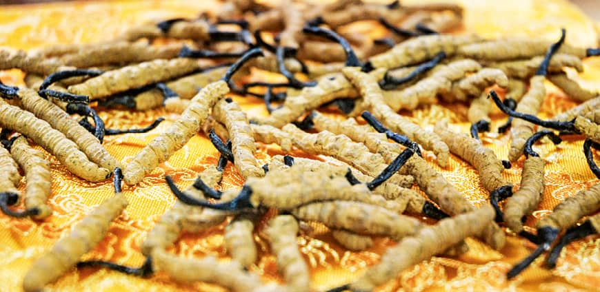 rp214_foodhunting_slider_12