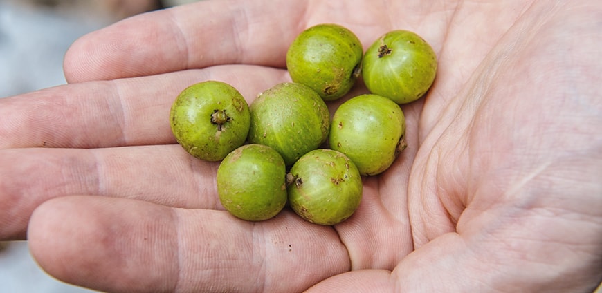 rp214_foodhunting_slider_5