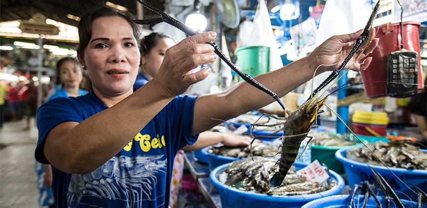 rp215-chele-gonzales-slider-4