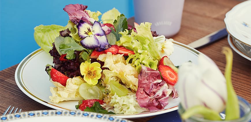 rp215-habibi-hawara-slider-2