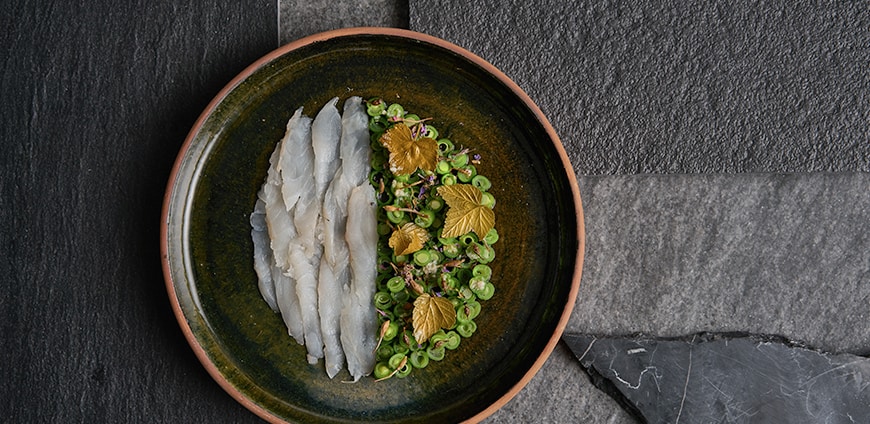 rp220_nolla_aufmacher_slider2